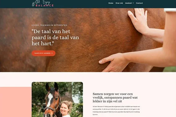 Website van Vera Bergmeijer, gemaakt met de templates van Digitale Pootjes